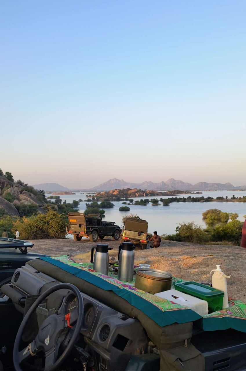 High tea experience at Jawai hills